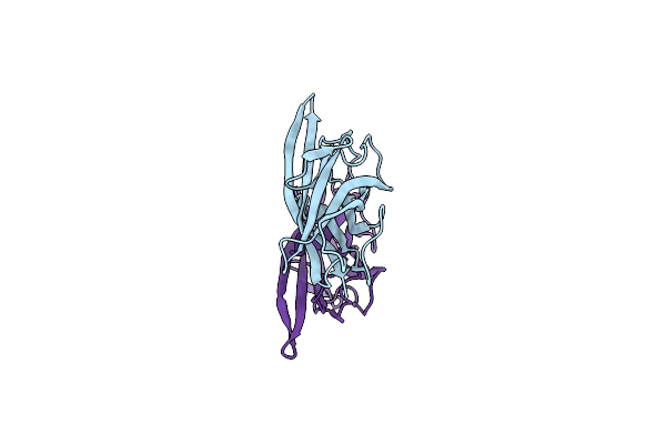 4B9G image