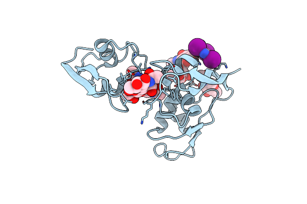 4B9H image