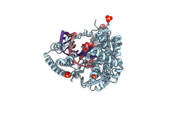 4B9L image
