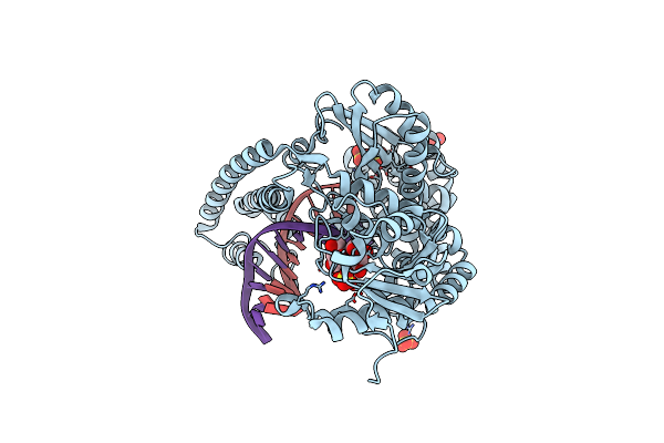 4B9N image