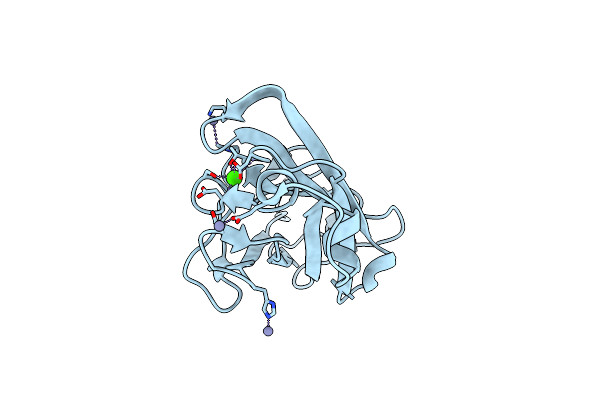 4B9P image