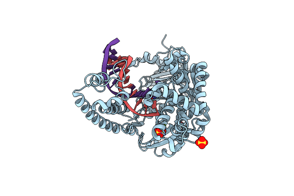 4B9T image
