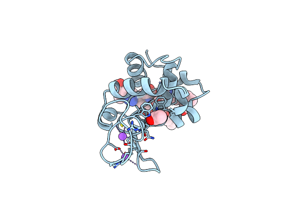 4BAP image