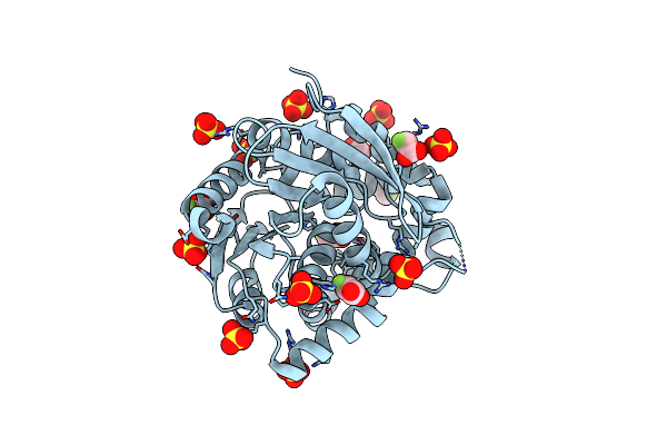 4BAU image