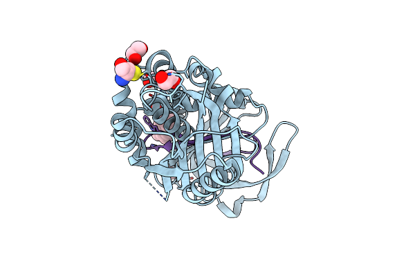 4BB2 image