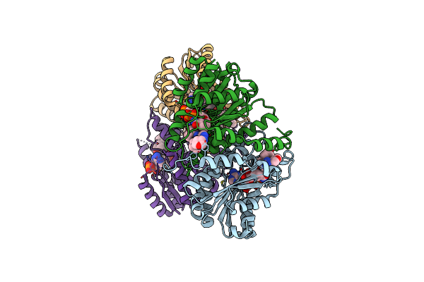 4BB5 image
