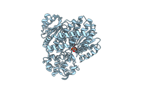 4BBA image