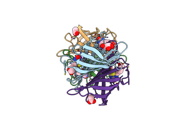 4BBO image