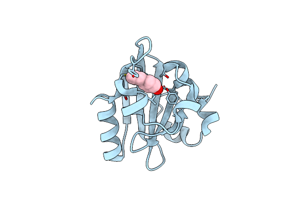 4BBT image