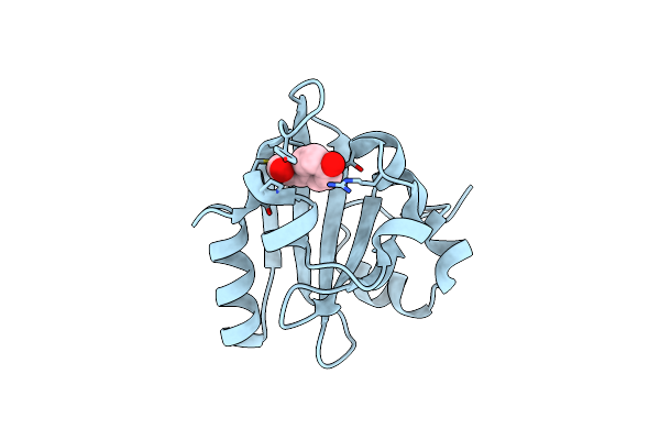 4BBV image