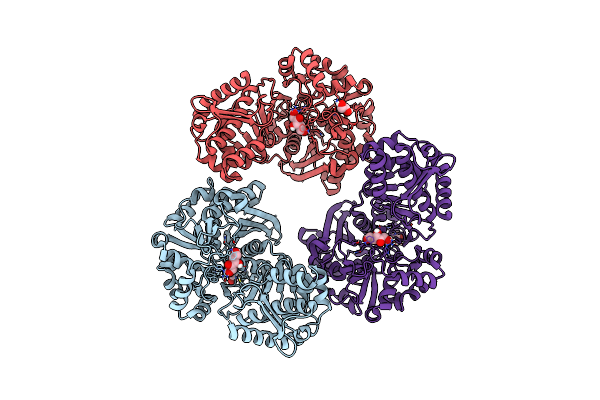 4BC4 image