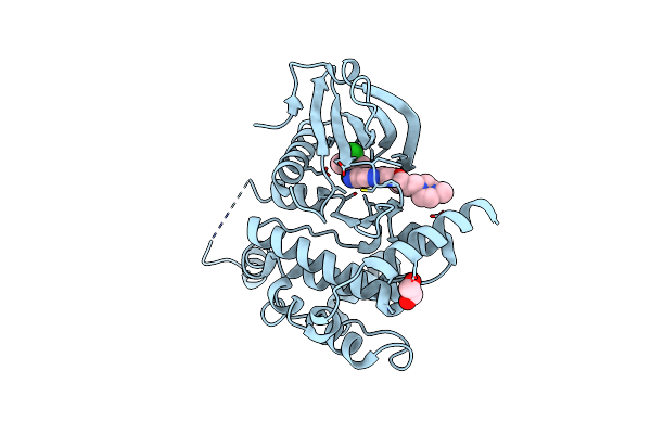 4BC6 image