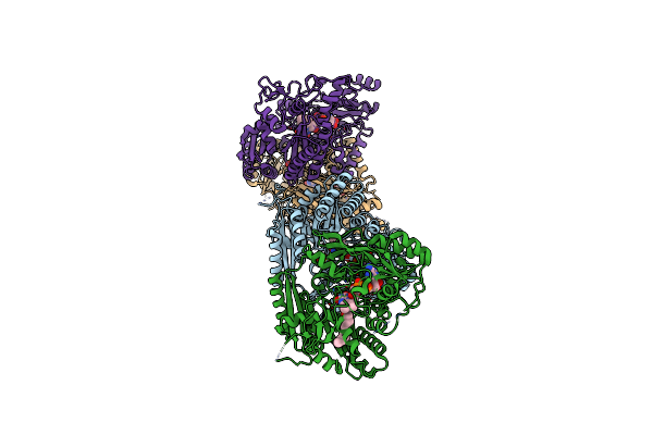 4BC7 image
