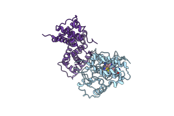 4BCI image