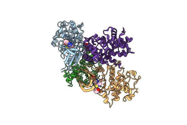 4BCN image