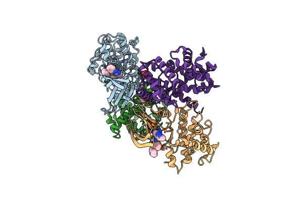 4BCP image