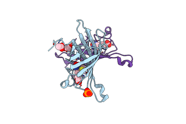 4BCS image