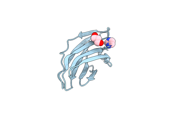 4BCX image