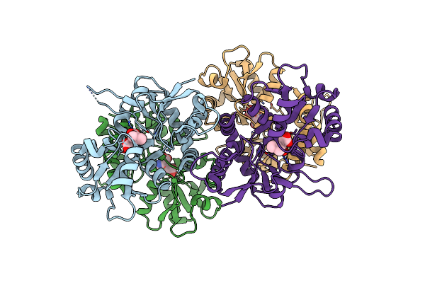 4BDM image