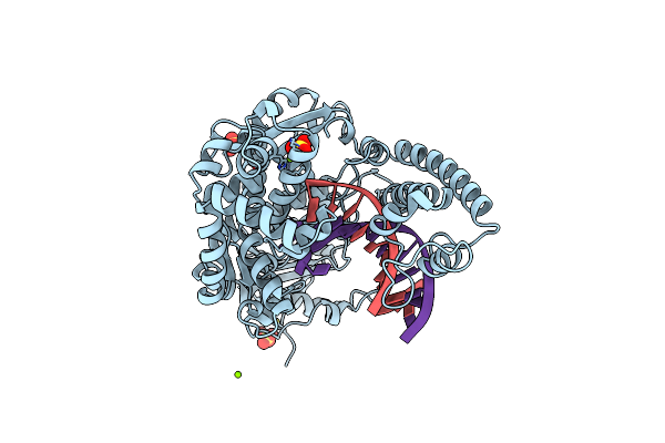 4BDP image