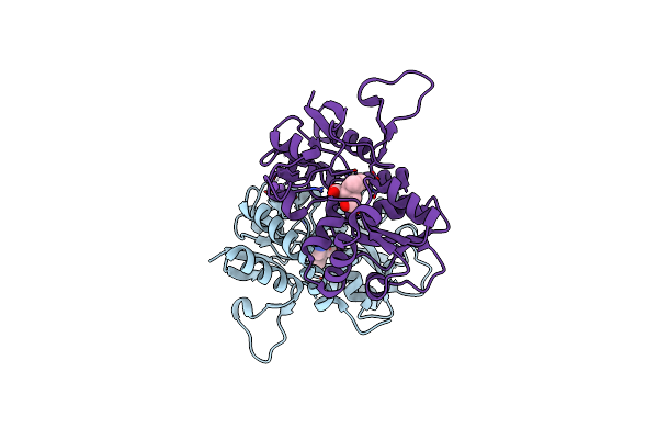 4BDR image