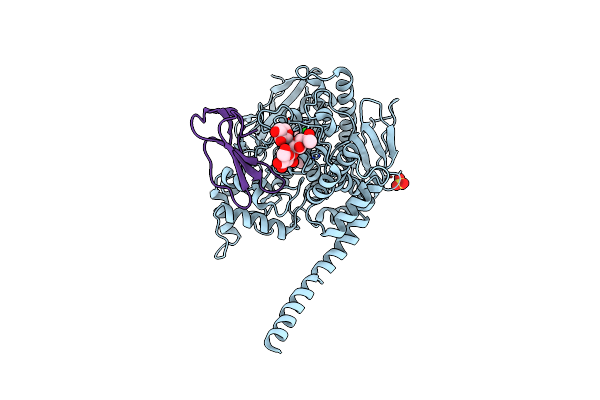 4BDT image