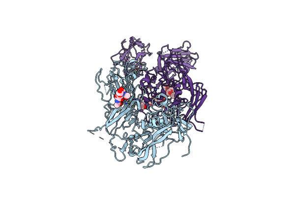 4BDV image