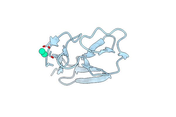 4BDW image