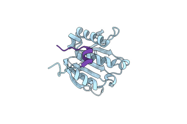 4BEA image