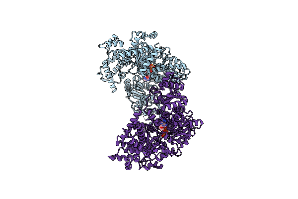 4BEC image
