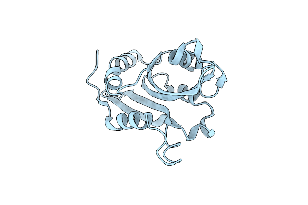 4BEX image
