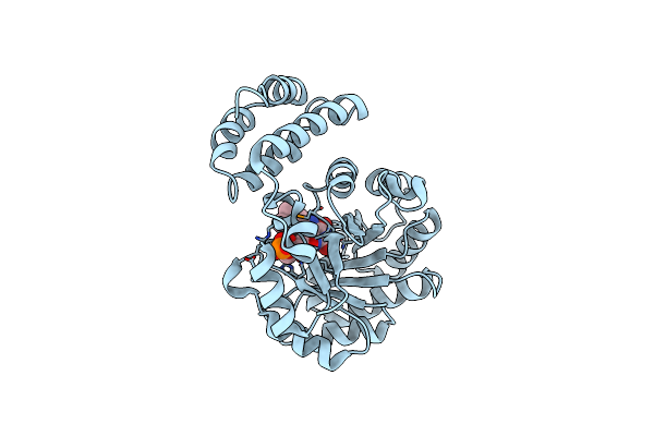 4BF9 image