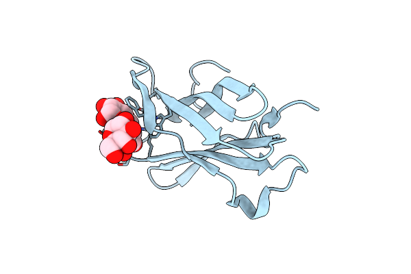 4BFO image