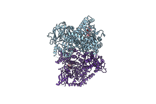 4BFR image