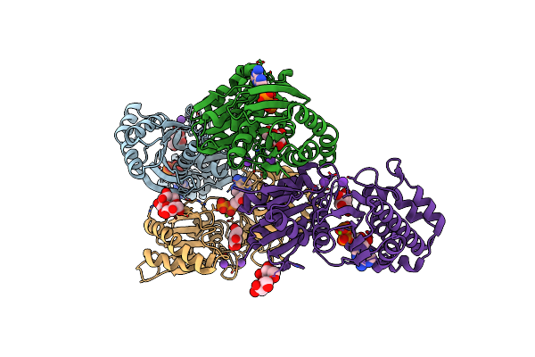 4BGA image