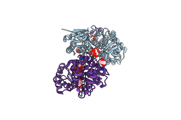 4BGB image