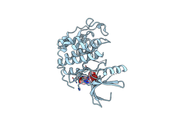 4BGH image