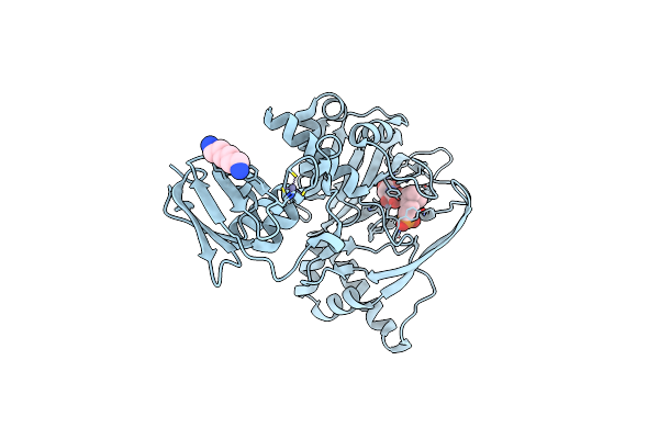 4BGK image