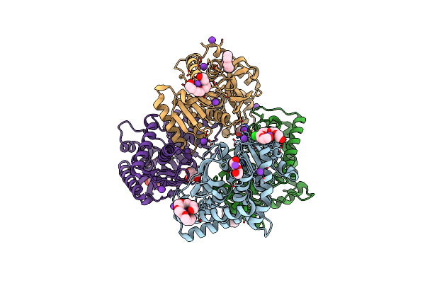 4BGU image