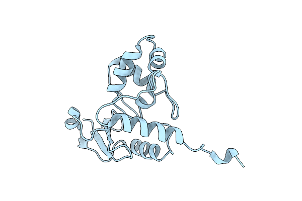 4BHC image