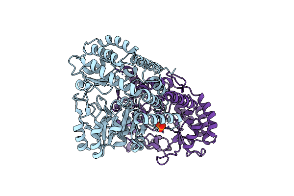 4BHD image