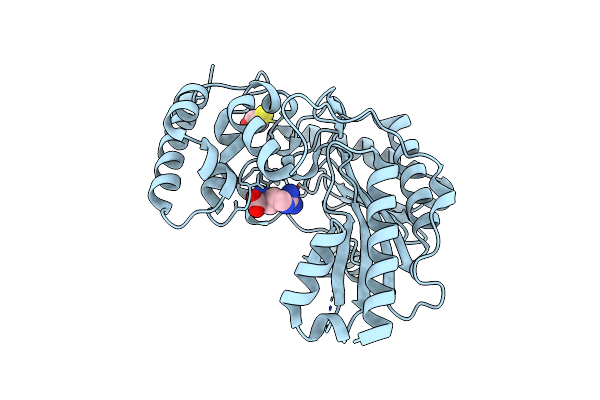 4BHL image