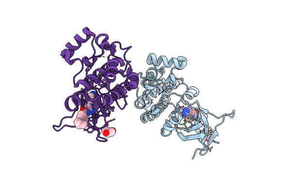 4BHN image