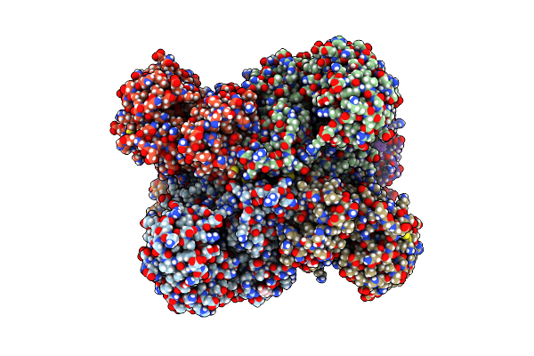 4BHT image