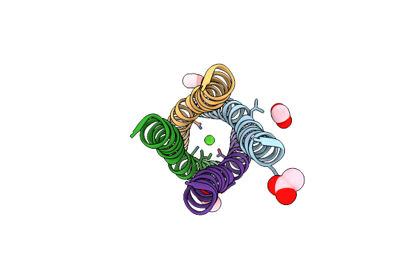 4BHV image