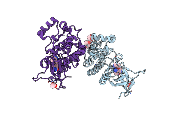 4BIB image