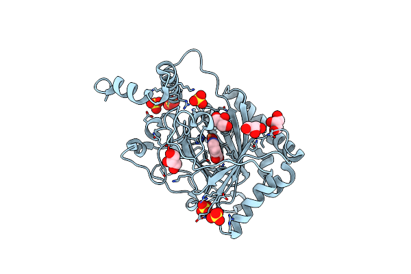4BIO image