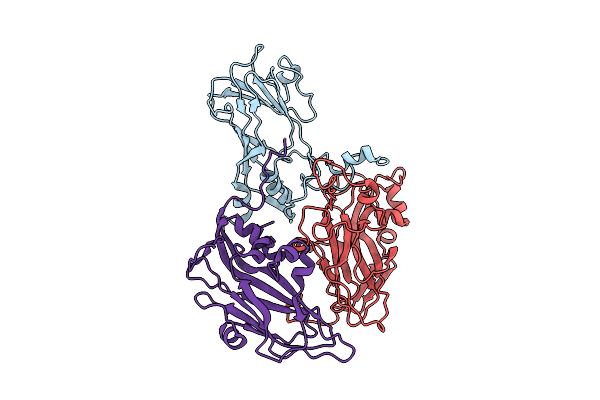 4BIP image