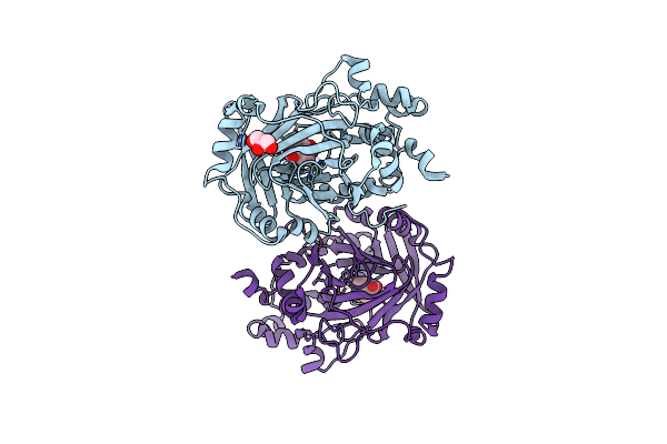 4BIS image