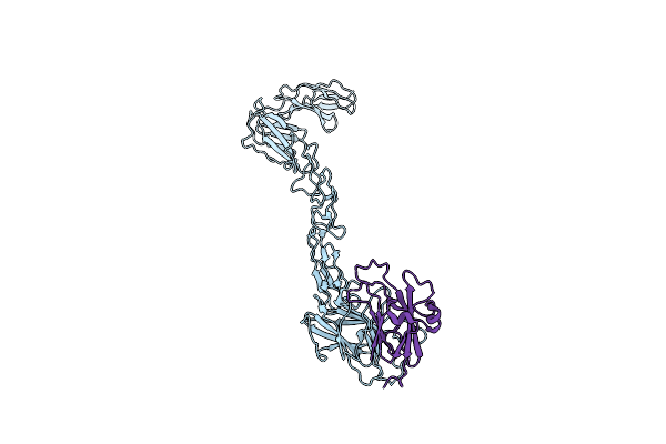 4BK5 image